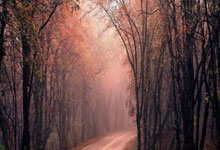 探索海角天涯社区下载的世界——一个让你连接全球朋友的神奇平台！