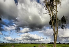 探索海角天涯社区下载的世界——一个让你连接全球朋友的神奇平台！