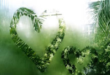 探索深圳天涯社区