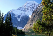 探索海角天涯社区下载的世界——一个让你连接全球朋友的神奇平台！